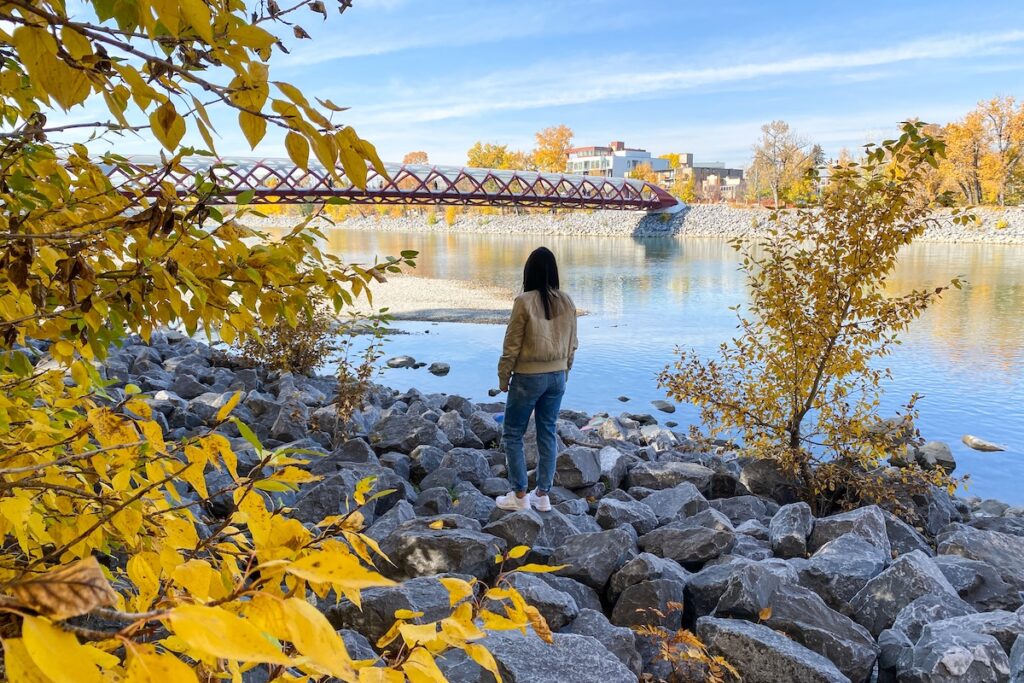 Peace Bridge from Prince's Island Park in the Fall.